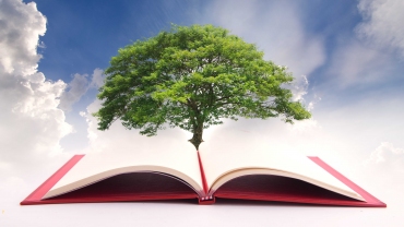 Historia y principios de la Educación Sostenible