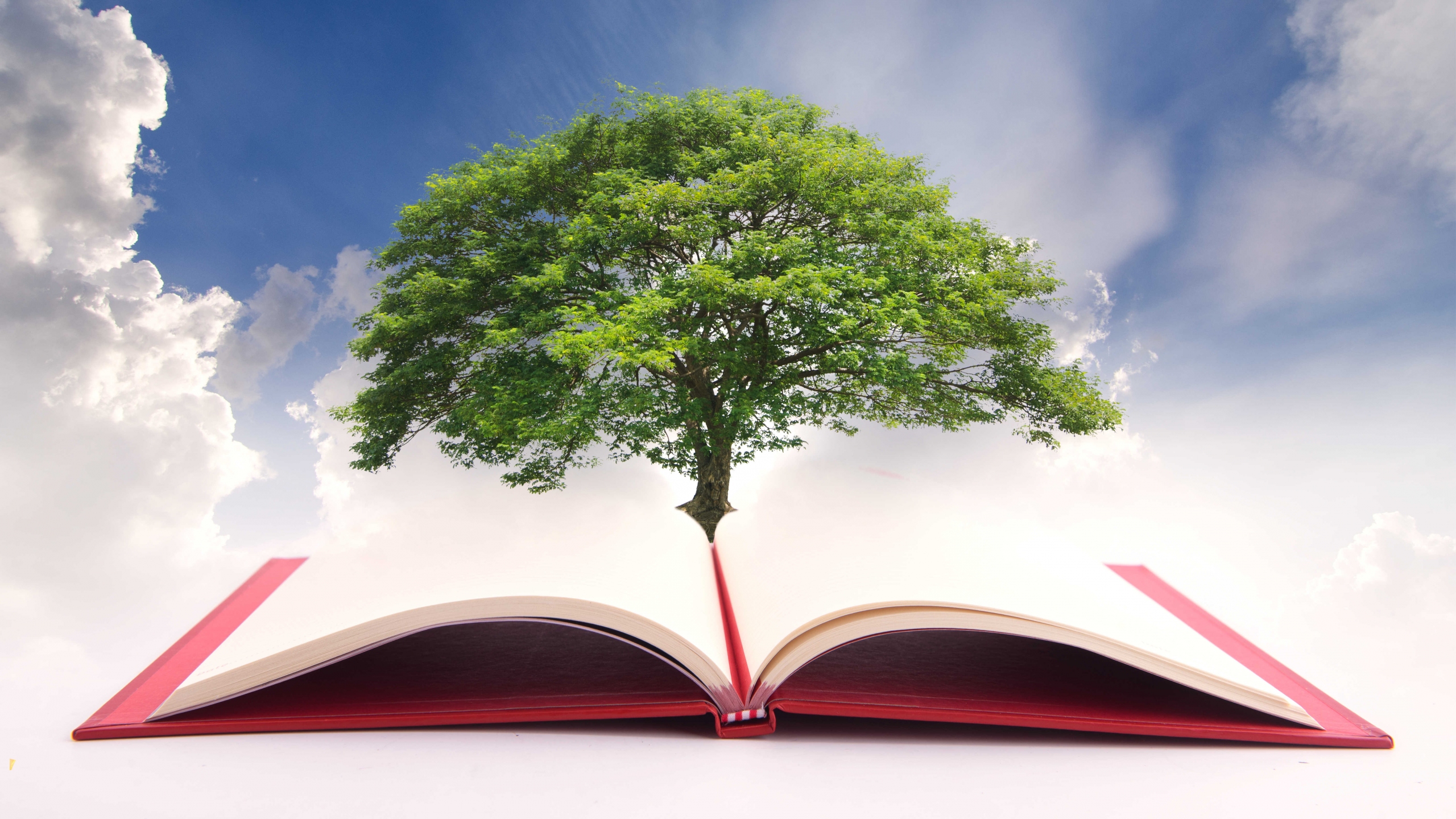 Historia y principios de la Educación Sostenible