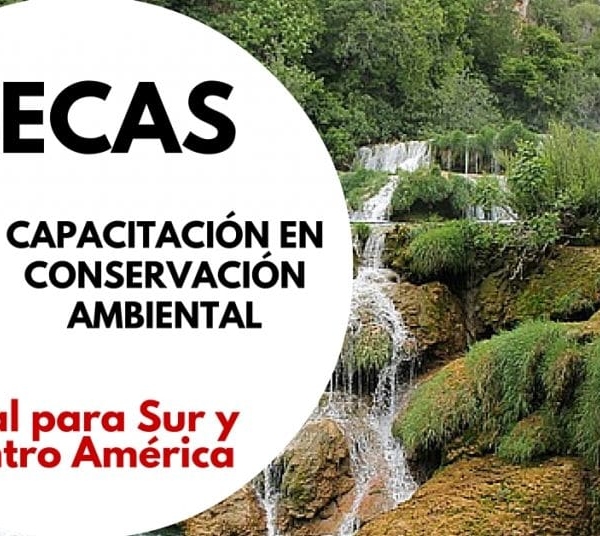 Becas de la WWF en Conservación Ambiental para Latinoamericanos