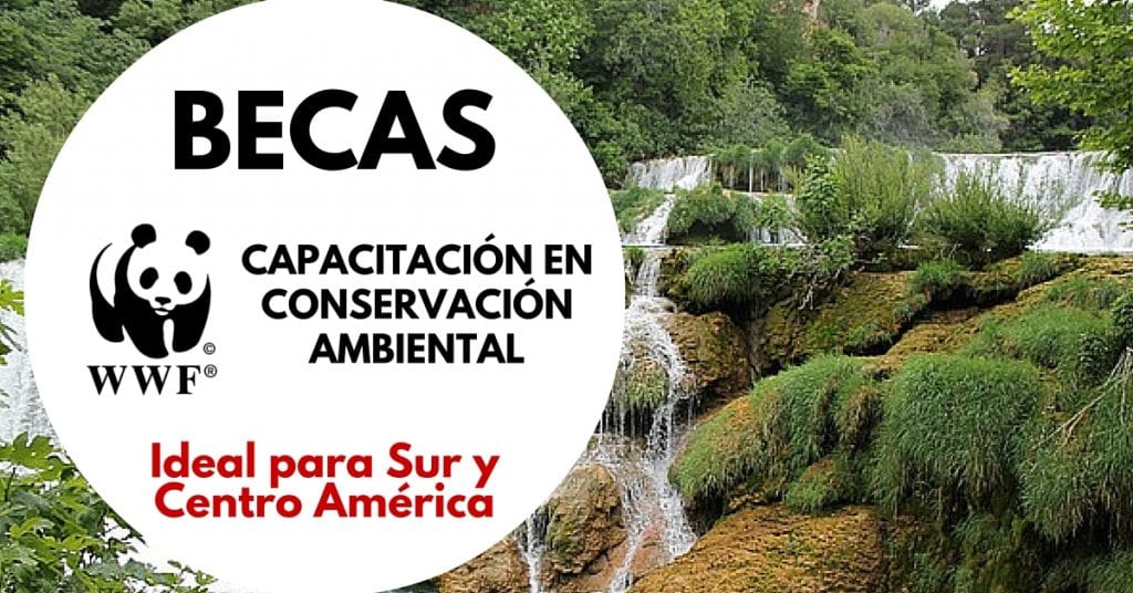 Becas de la WWF en Conservación Ambiental para Latinoamericanos