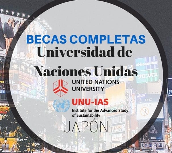 Universidad de Naciones Unidas ofrece Becas completas en sostenibilidad