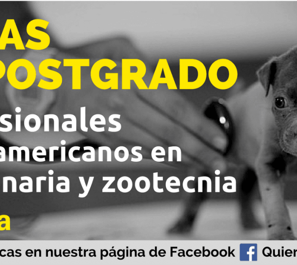 Becas para profesionales en veterinaria y zootecnia en España
