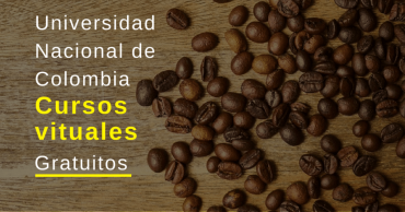 Cursos virtuales y gratuitos Universidad Doméstico de Colombia – UNAL