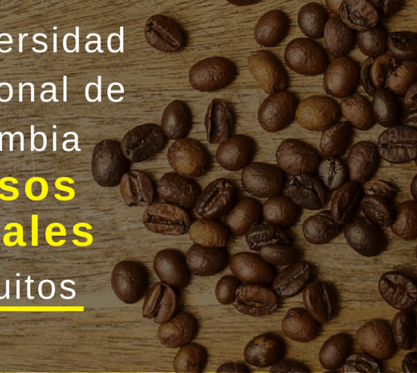 Cursos virtuales y gratuitos Universidad Doméstico de Colombia – UNAL