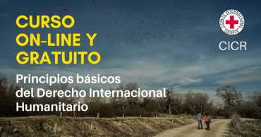 Curso online normas y principios básicos DIH – CICR