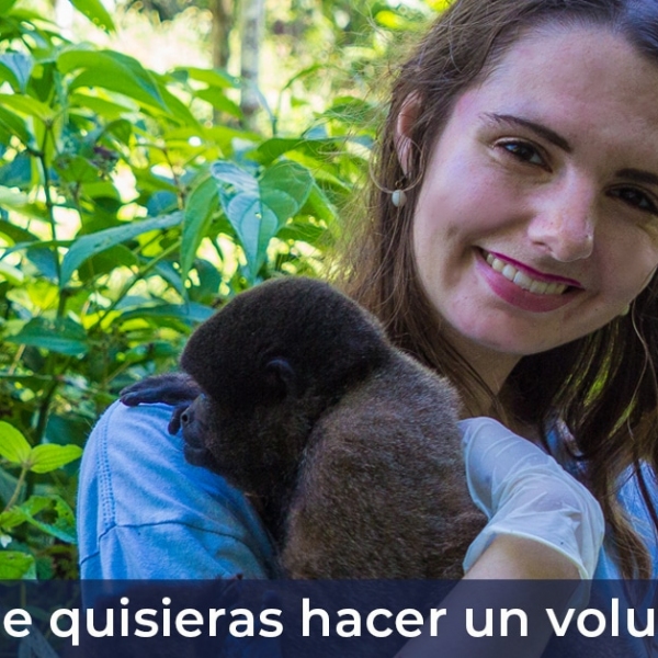 En dónde quisieras hacer tu voluntariado?