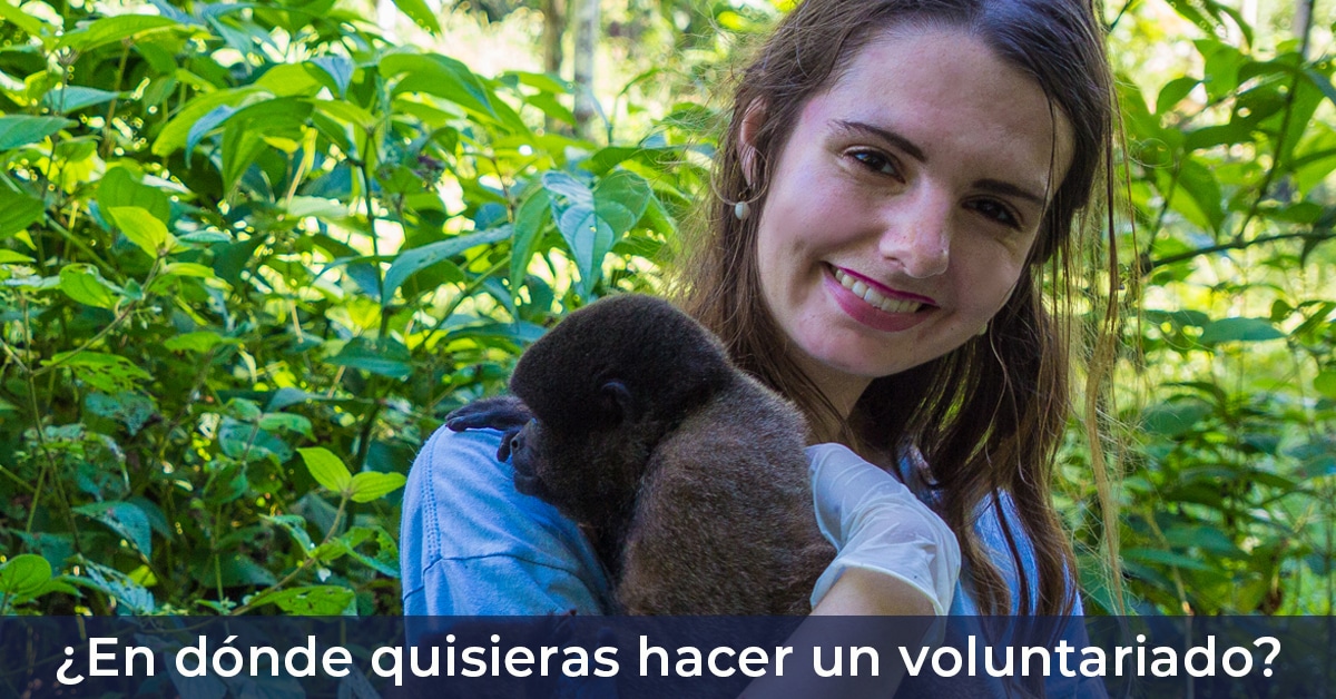 En dónde quisieras hacer tu voluntariado?