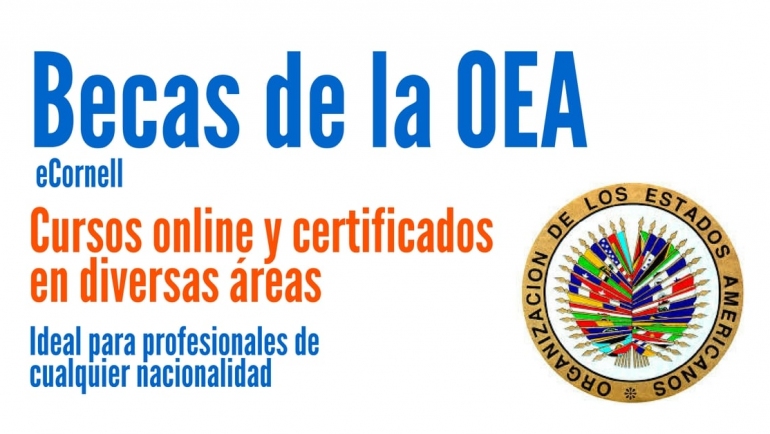 Becas de la OEA para cursos online certificados en diferentes áreas